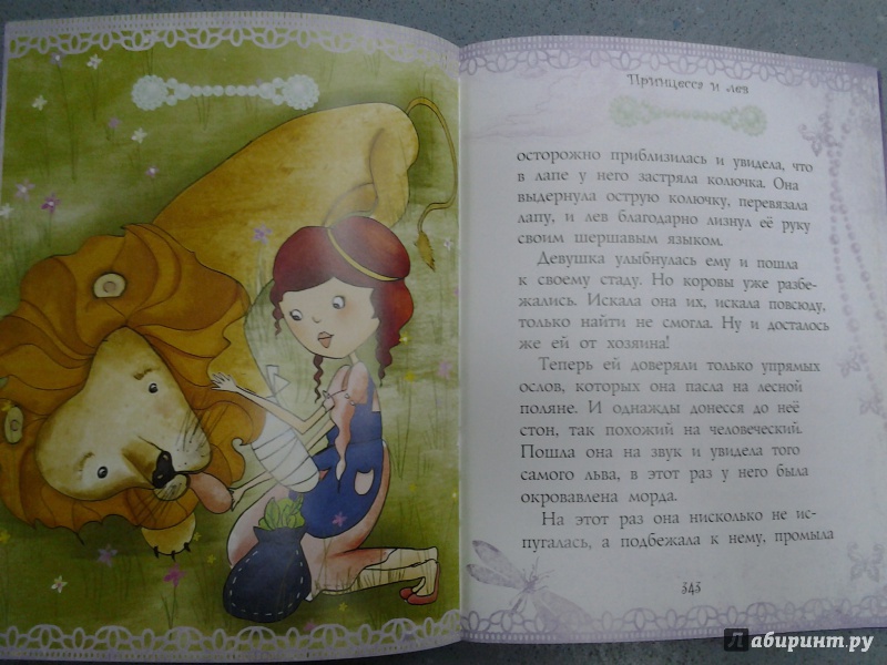 Иллюстрация 25 из 29 для 50 сказок о принцессах - Теккерей, Макдональд, Чосер | Лабиринт - книги. Источник: Olga