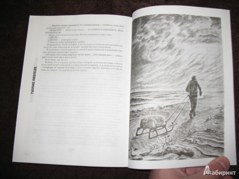 Иллюстрация 20 из 20 для Метро 2033: Корни Небес - Туллио Аволедо | Лабиринт - книги. Источник: К Л Я К С А