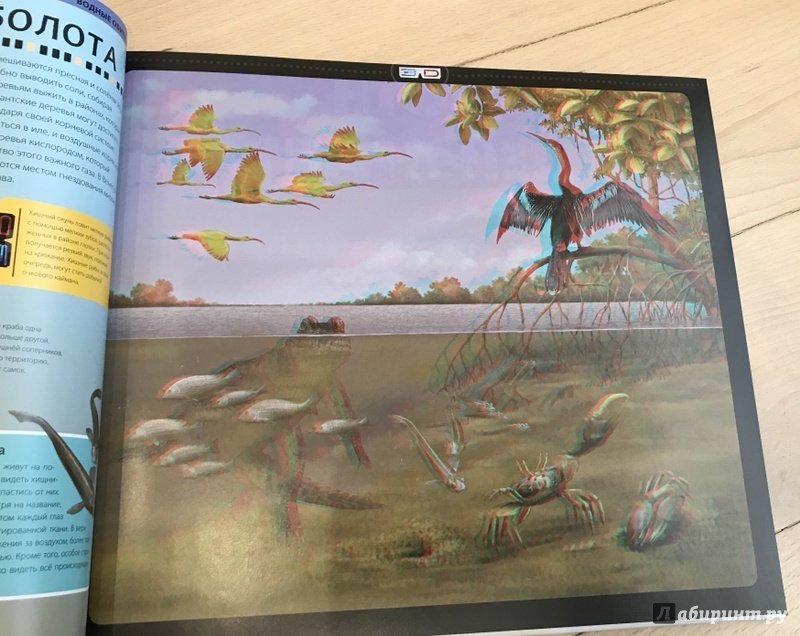 Иллюстрация 16 из 18 для Большая энциклопедия животных 3D - Баголи, Шел | Лабиринт - книги. Источник: Роса