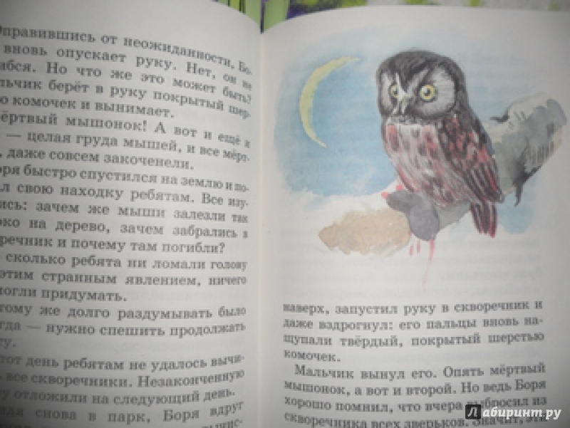 Иллюстрация 5 из 5 для Лесной голосок - Георгий Скребицкий | Лабиринт - книги. Источник: юлия д.