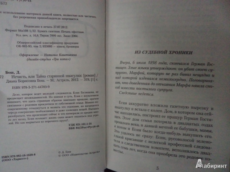 Иллюстрация 3 из 7 для Нечисть, или Тайна старинной шкатулки - Диана Бош | Лабиринт - книги. Источник: Karfagen