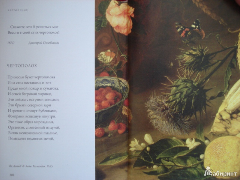 Иллюстрация 41 из 58 для Любовь к ботанике | Лабиринт - книги. Источник: Blackboard_Writer