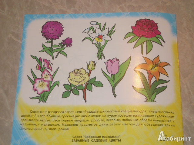 Иллюстрация 12 из 12 для Забавные садовые цветы | Лабиринт - книги. Источник: Iwolga