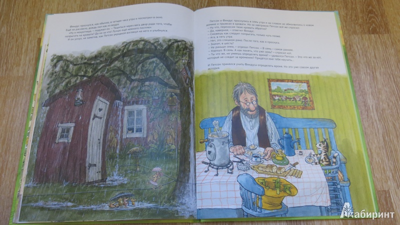 Иллюстрация 29 из 52 для Финдус переезжает - Свен Нурдквист | Лабиринт - книги. Источник: misago