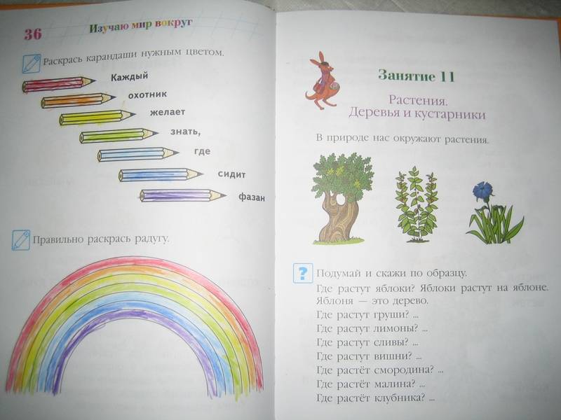Иллюстрация 60 из 81 для Изучаю мир вокруг: для одаренных детей 5-6 лет - Валентина Егупова | Лабиринт - книги. Источник: Nnatali