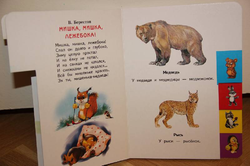 Иллюстрация 4 из 9 для Лесные животные в стихах и картинках | Лабиринт - книги. Источник: Vilvarin  Laurea