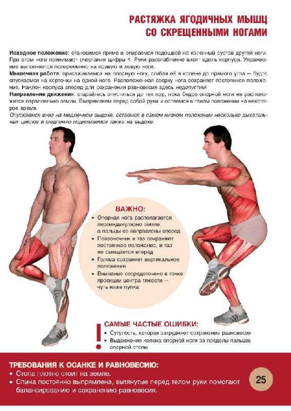 Иллюстрация 23 из 55 для Анатомия физических упражнений - Михаил Ингерлейб | Лабиринт - книги. Источник: Юта