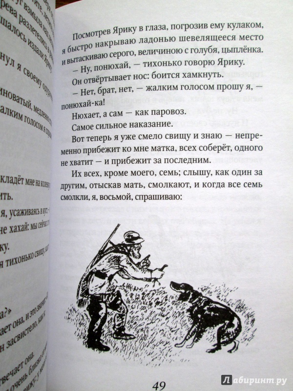 Иллюстрация 9 из 11 для Зверь бурундук - Михаил Пришвин | Лабиринт - книги. Источник: Зеленая шляпа