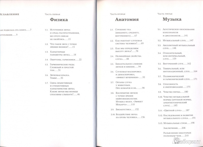 Иллюстрация 7 из 7 для Физика и анатомия музыки - Алексей Насретдинов | Лабиринт - книги. Источник: Mr Gordon