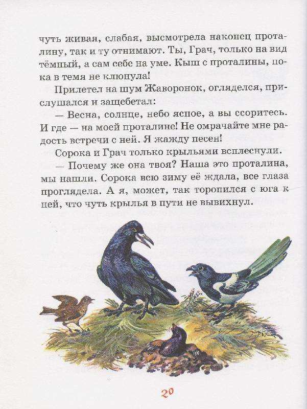 Иллюстрация 20 из 38 для Русские сказки о природе - Николай Сладков | Лабиринт - книги. Источник: Igra