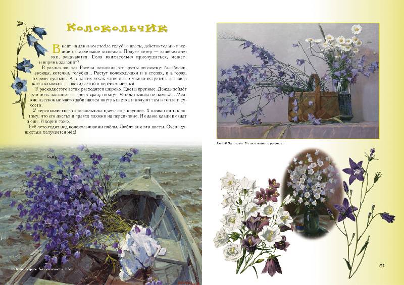 Иллюстрация 7 из 94 для Прогулки по лесу - Сергей Махотин | Лабиринт - книги. Источник: Лана