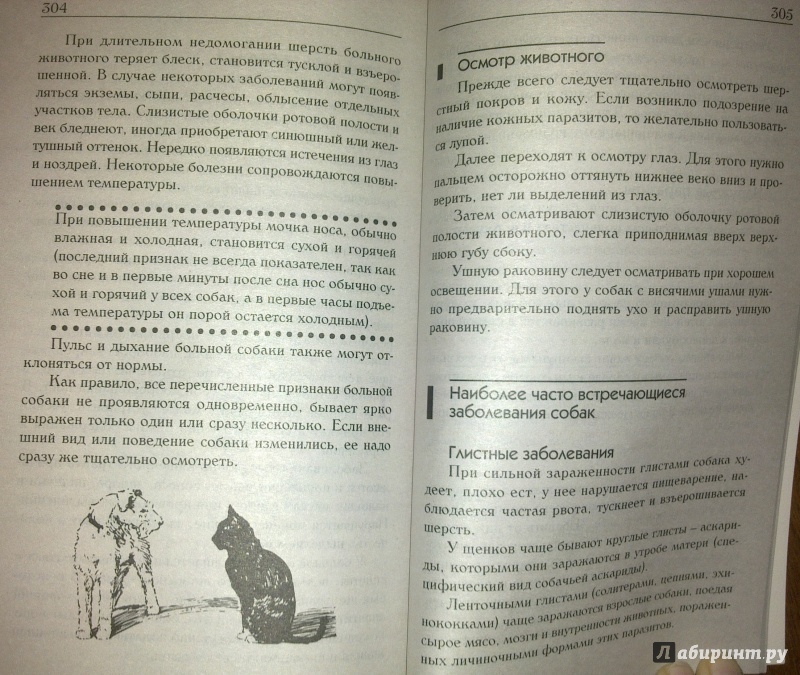 Иллюстрация 13 из 29 для Знакомьтесь, это ваша собака! | Лабиринт - книги. Источник: Татьяна Г.