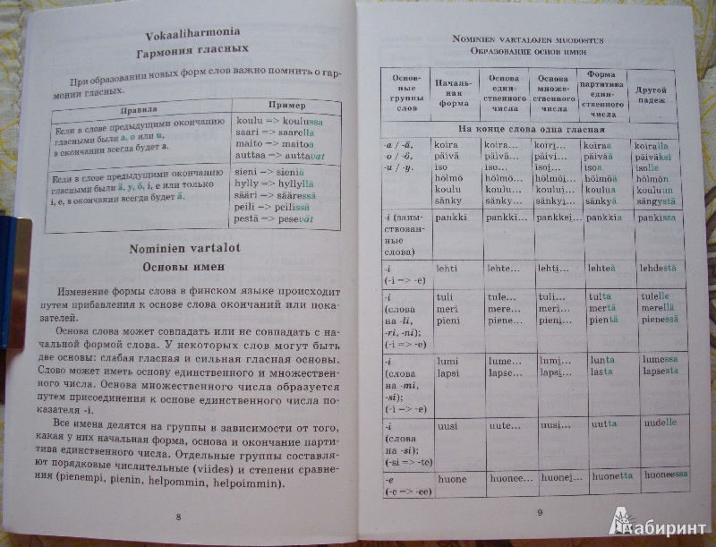 Иллюстрация 5 из 16 для Финская грамматика в таблицах и схемах - Ангелина Журавлева | Лабиринт - книги. Источник: Спящая на ходу