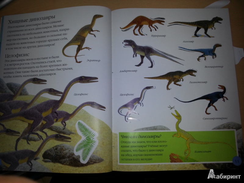 Иллюстрация 6 из 7 для Чудо-наклейки. Динозавры - Морис Пледжер | Лабиринт - книги. Источник: semerkina