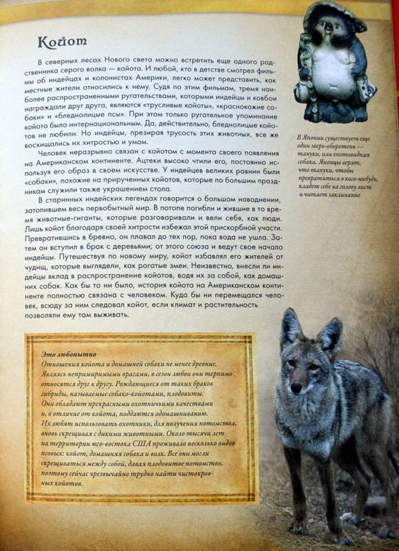 Иллюстрация 24 из 31 для Животные в мифологии - Андрей Гапченко | Лабиринт - книги. Источник: Ассоль