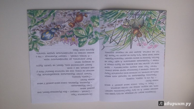 Иллюстрация 3 из 20 для Как муравьишка домой спешил - Виталий Бианки | Лабиринт - книги. Источник: Земляничка