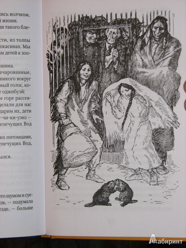 Иллюстрация 4 из 20 для Саджо и ее бобры - Сова Серая | Лабиринт - книги. Источник: Тестов  Роман