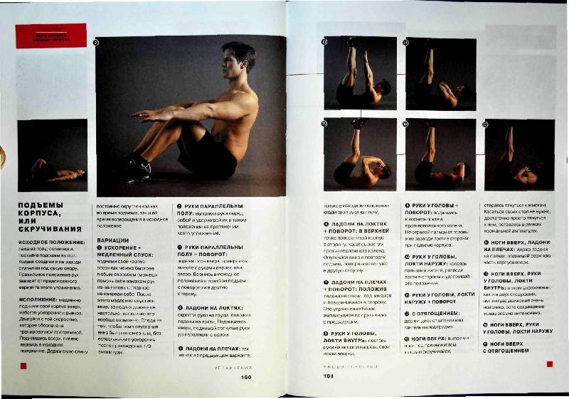 Иллюстрация 25 из 33 для Большая книга мышц - Кинг, Шулер | Лабиринт - книги. Источник: Юта