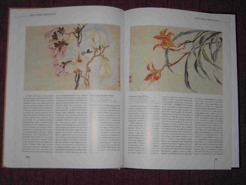 Иллюстрация 11 из 21 для "Цветы - птицы" в живописи Китая - Надежда Виноградова | Лабиринт - книги. Источник: Трухина Ирина
