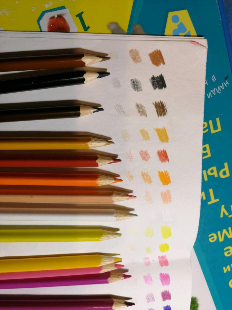 Иллюстрация 18 из 22 для Набор карандашей 24 цвета Triocolor | Лабиринт - канцтовы. Источник: Лабиринт