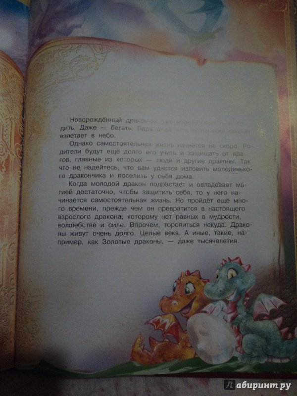 Иллюстрация 48 из 50 для Сказка о принцессе Белой Лилии и Серебряном Пламени - Александр Мазин | Лабиринт - книги. Источник: Alexsis