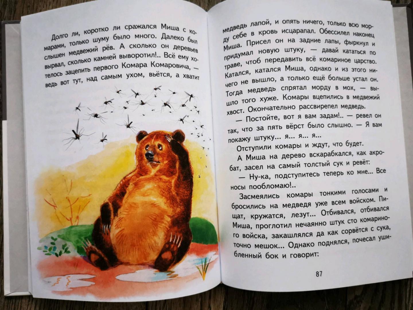 Иллюстрация 28 из 62 для Медведко - Дмитрий Мамин-Сибиряк | Лабиринт - книги. Источник: Пескова Алла