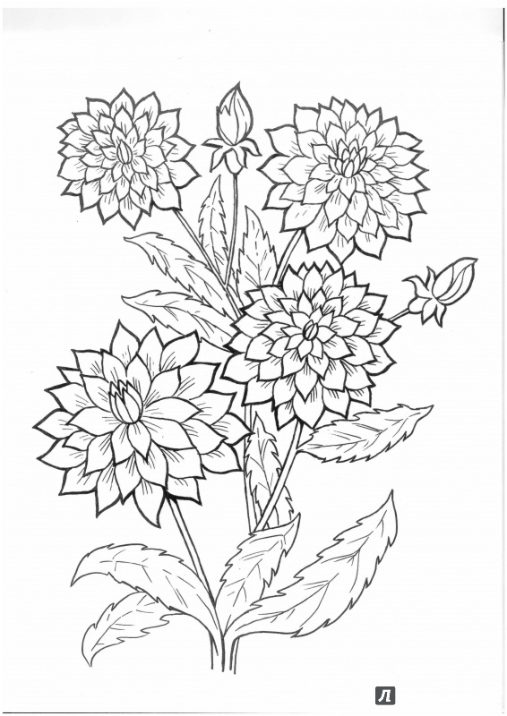 Иллюстрация 9 из 22 для Цветы и бабочки - Татьяна Коваль | Лабиринт - книги. Источник: Lechman@list.ru