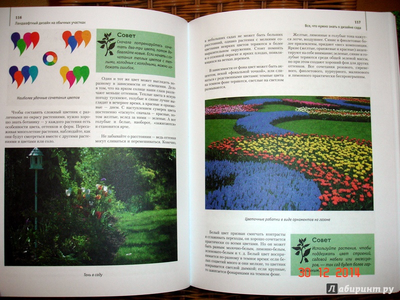 Иллюстрация 7 из 13 для Ландшафтный дизайн на дачных участках - Надежда Спиридонова | Лабиринт - книги. Источник: Kassavetes