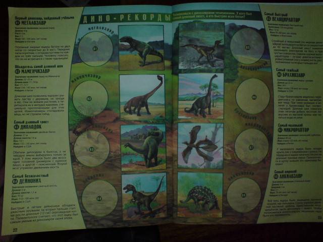 Иллюстрация 10 из 21 для Динозавры и другие доисторические животные. Атлас с наклейками - Наталья Преображенская | Лабиринт - книги. Источник: Настёна