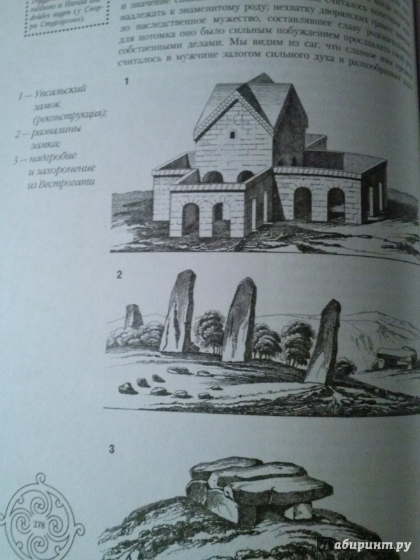 Иллюстрация 29 из 37 для Походы викингов - Андерс Стриннгольм | Лабиринт - книги. Источник: Анна