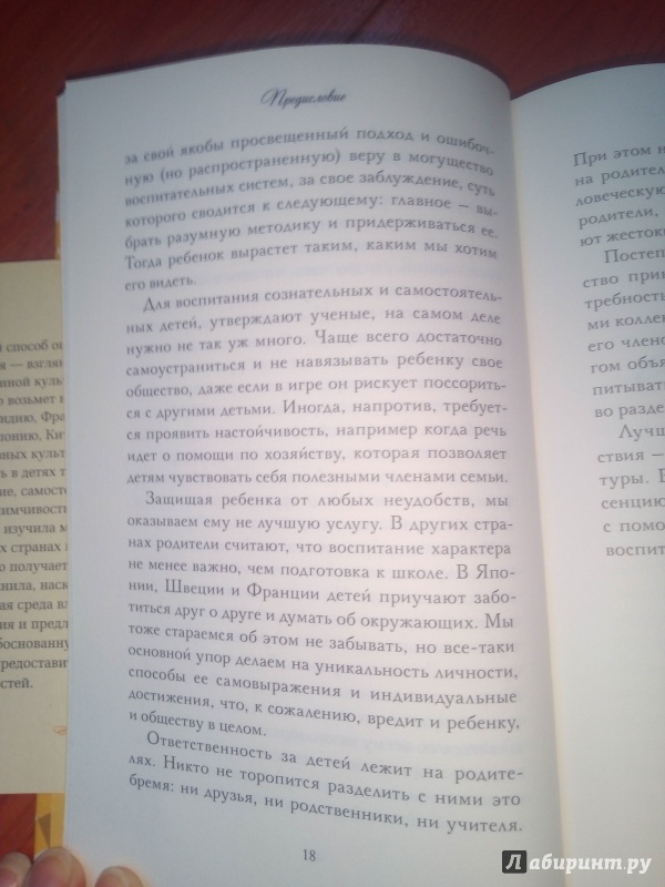 Иллюстрация 20 из 20 для Родители без границ - Кристина Гросс-Ло | Лабиринт - книги. Источник: Ксения В.