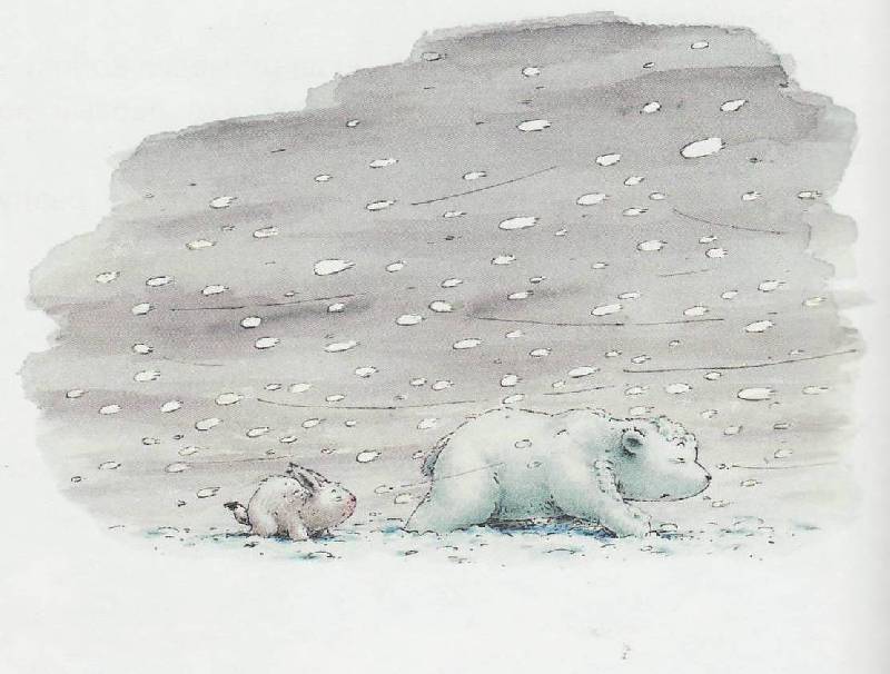 Иллюстрация 78 из 86 для Барни, белый медвежонок - Беер Де | Лабиринт - книги. Источник: Наталья Плотникова