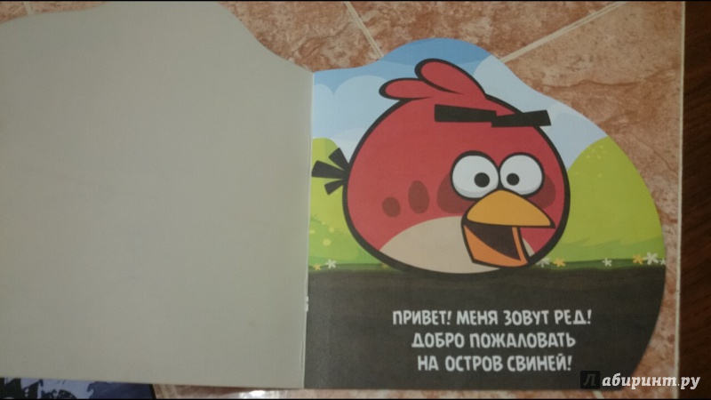 Иллюстрация 2 из 7 для Angry Birds. Ред | Лабиринт - книги. Источник: anka46