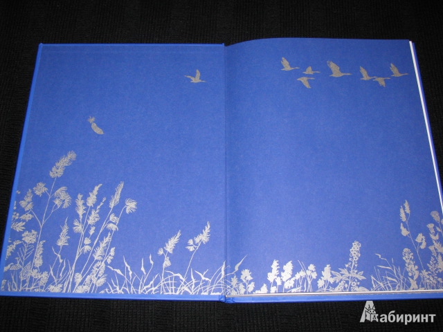 Иллюстрация 18 из 30 для Чудесное путешествие Нильса с дикими гусями - Сельма Лагерлеф | Лабиринт - книги. Источник: Nemertona