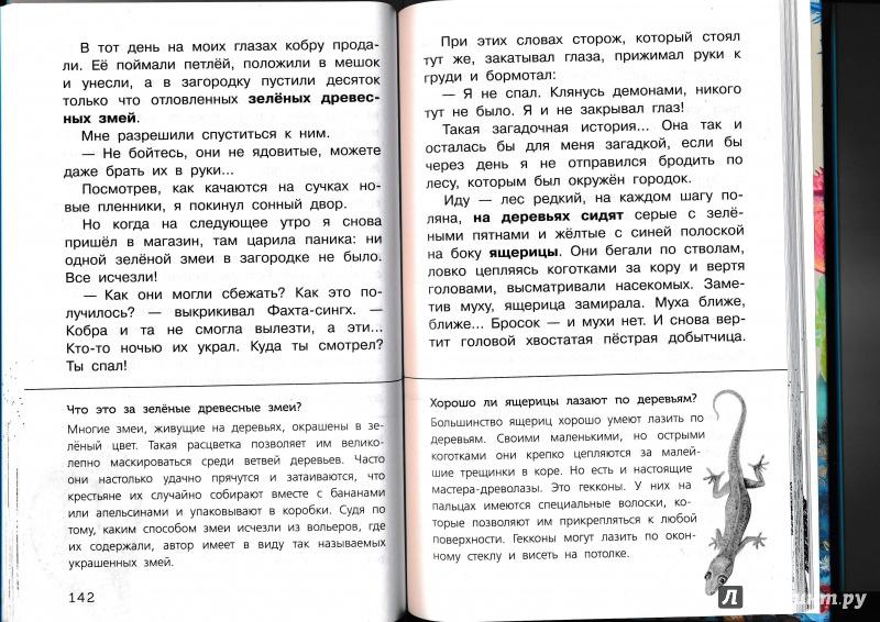 Иллюстрация 46 из 65 для Живые домики. С вопросами и ответами для почемучек - Сахарнов, Мосалов | Лабиринт - книги. Источник: Террил