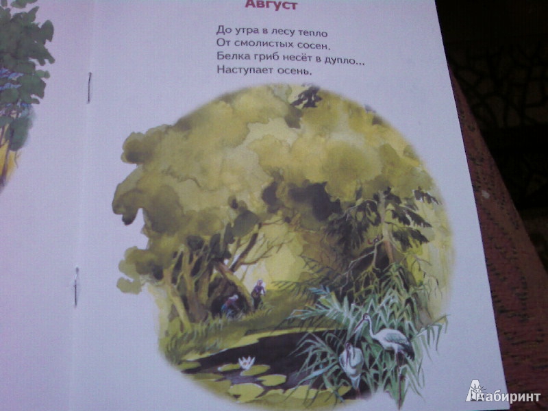 Иллюстрация 7 из 8 для Лесной календарь - Владимир Степанов | Лабиринт - книги. Источник: Розанова  Елена
