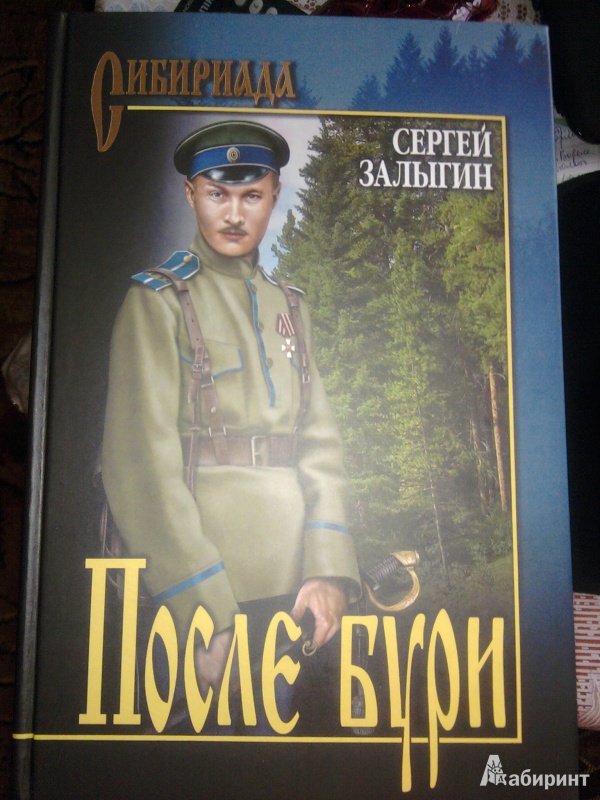 Иллюстрация 2 из 7 для После бури - Сергей Залыгин | Лабиринт - книги. Источник: Натали