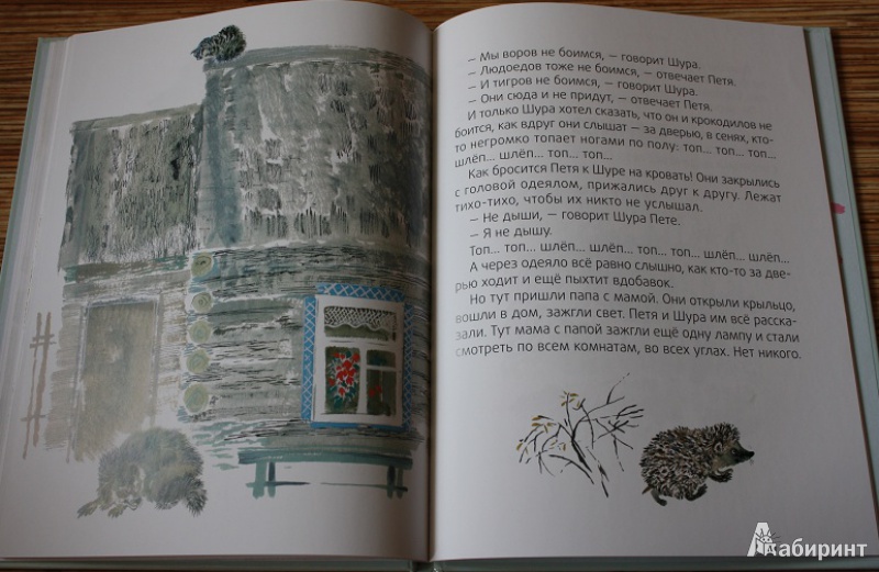 Иллюстрация 5 из 39 для Медведь-рыбак - Евгений Чарушин | Лабиринт - книги. Источник: КНИЖНОЕ ДЕТСТВО