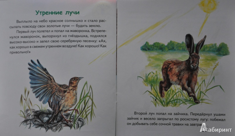 Иллюстрация 2 из 7 для Утренние лучи - Константин Ушинский | Лабиринт - книги. Источник: NDusha