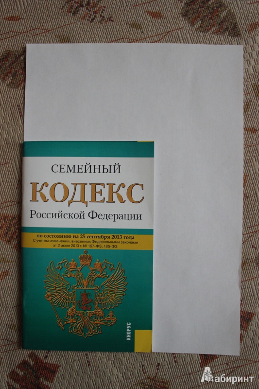 Иллюстрация 1 из 8 для Семейный кодекс Российской Федерации по состоянию на 25 сентября 2013 года | Лабиринт - книги. Источник: Глушко  Александр