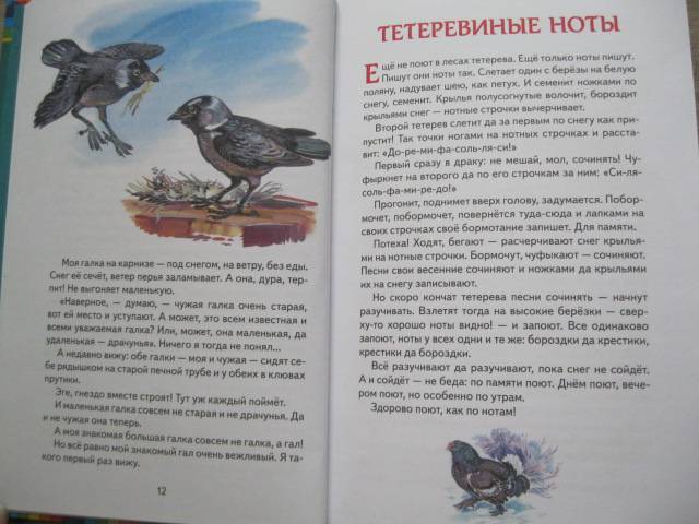 Иллюстрация 15 из 46 для Лесные сказки - Николай Сладков | Лабиринт - книги. Источник: NINANI