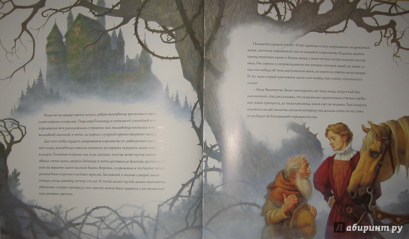 Иллюстрация 35 из 63 для Классические сказки на ночь - Скотт Густафсон | Лабиринт - книги. Источник: Трухина Ирина