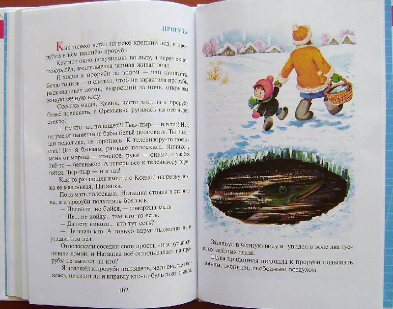 Иллюстрация 54 из 55 для Алый и другие рассказы - Юрий Коваль | Лабиринт - книги. Источник: BOOKвочка
