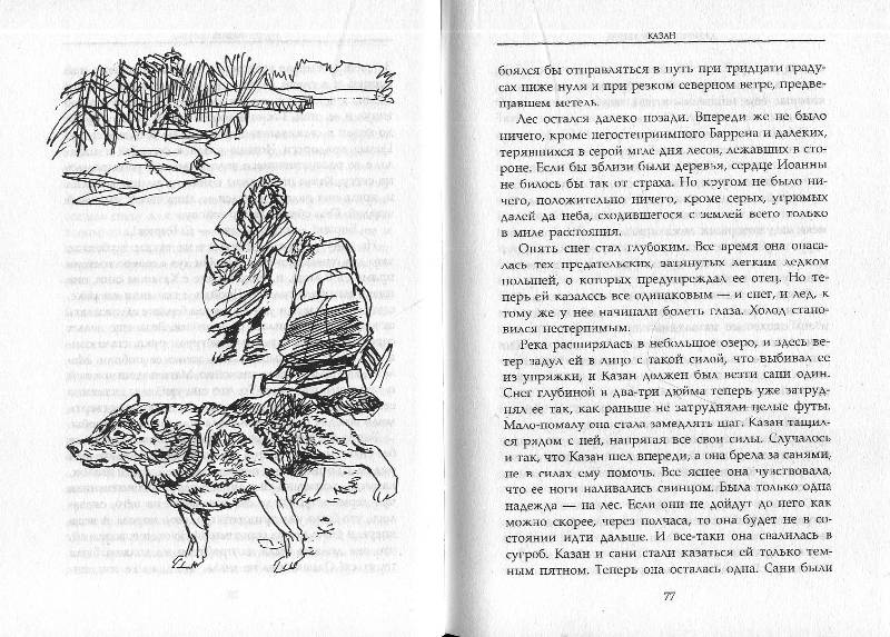 Иллюстрация 2 из 3 для Казан, благородный волк - Джеймс Кервуд | Лабиринт - книги. Источник: Книгосмотритель