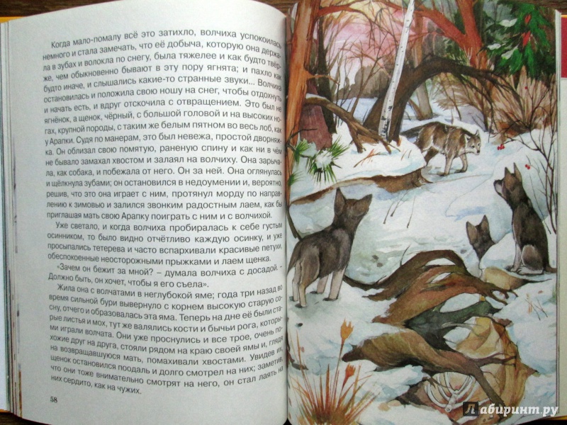 Иллюстрация 12 из 32 для Каштанка и другие рассказы - Антон Чехов | Лабиринт - книги. Источник: Зеленая шляпа