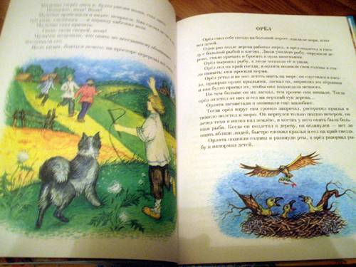 Иллюстрация 5 из 20 для Детям: Рассказы и сказки - Лев Толстой | Лабиринт - книги. Источник: Galia