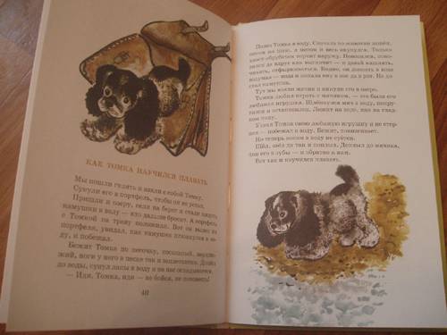 Иллюстрация 14 из 62 для Тюпа, Томка и сорока - Евгений Чарушин | Лабиринт - книги. Источник: Galia