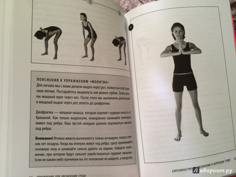 Иллюстрация 31 из 31 для Упражнения для увеличения груди - Екатерина Смирнова | Лабиринт - книги. Источник: IraIra