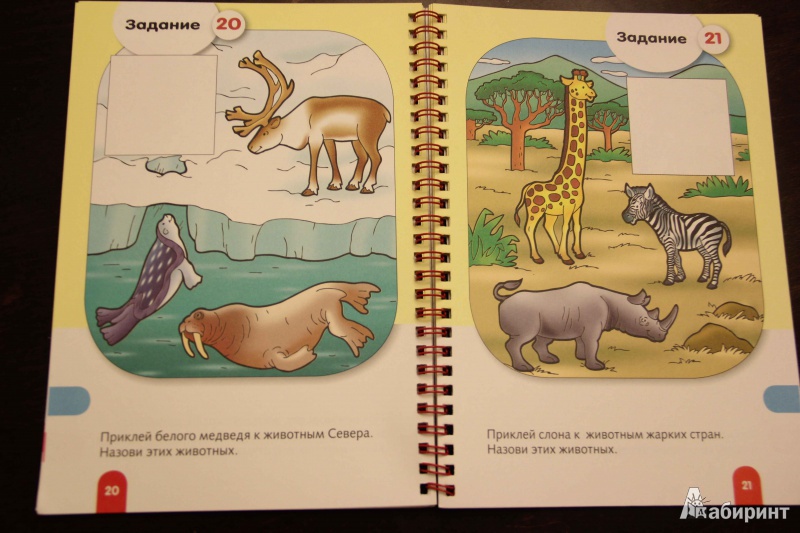 Иллюстрация 10 из 22 для Знакомство с природой - Марина Султанова | Лабиринт - книги. Источник: Vilvarin  Laurea