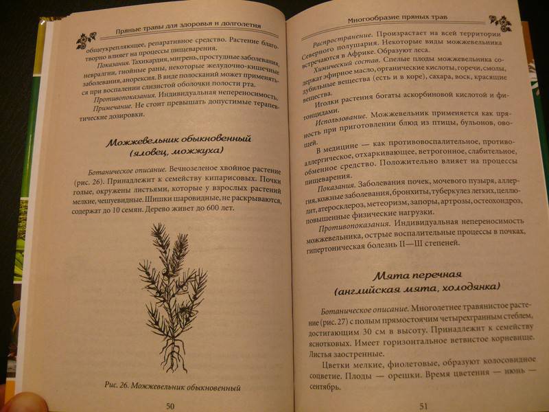 Иллюстрация 5 из 9 для Пряные травы для здоровья и долголетия - Гаврилова, Ионова, Плисов | Лабиринт - книги. Источник: Caelus